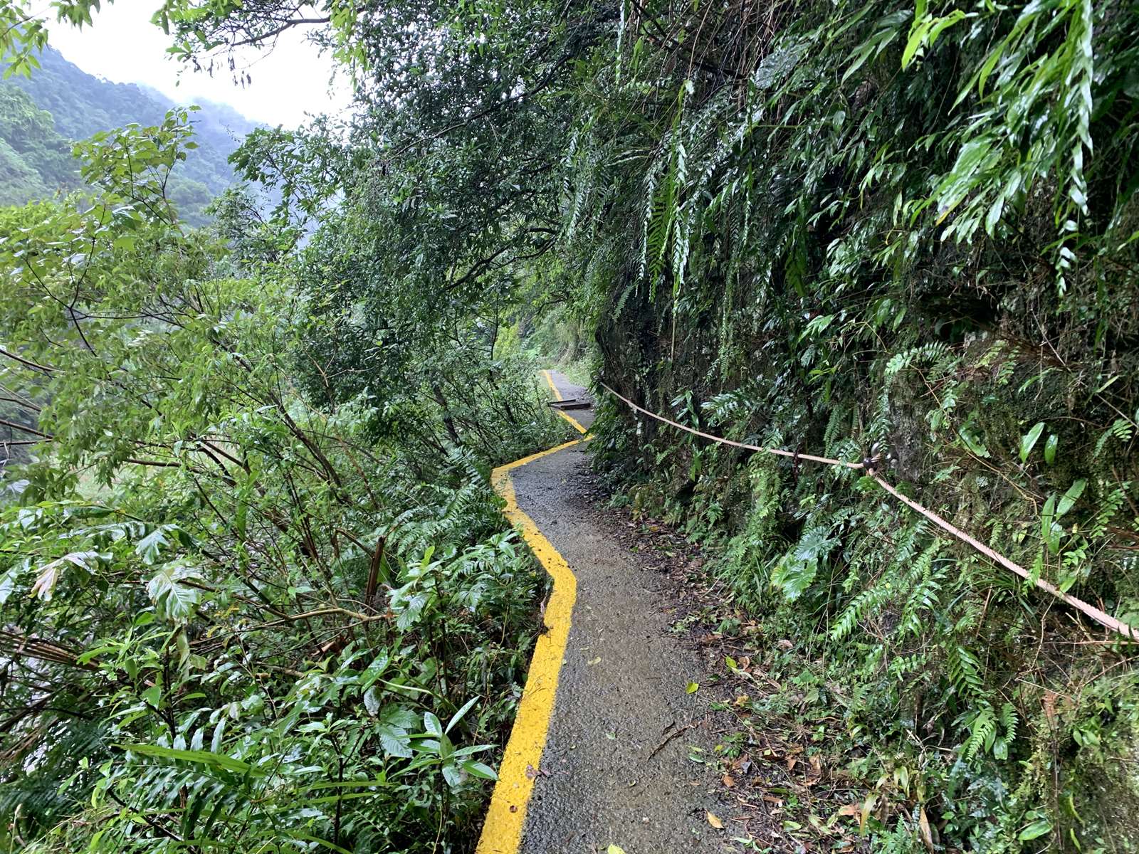 紅河谷越嶺步道一隅